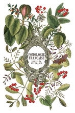 Load image into Gallery viewer, 2025 Winter Holiday Collection Iron Orchid Clementine Transfer 8x12- 8 page Pad