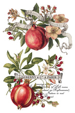 Load image into Gallery viewer, 2025 Winter Holiday Collection Iron Orchid Clementine Transfer 8x12- 8 page Pad