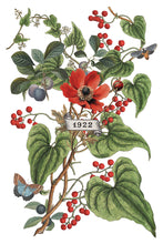 Load image into Gallery viewer, 2025 Winter Holiday Collection Iron Orchid Clementine Transfer 8x12- 8 page Pad