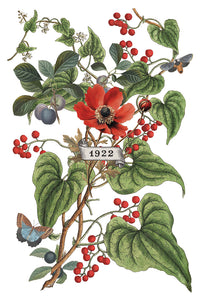 2025 Winter Holiday Collection Iron Orchid Clementine Transfer 8x12- 8 page Pad