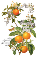 Load image into Gallery viewer, 2025 Winter Holiday Collection Iron Orchid Clementine Transfer 8x12- 8 page Pad