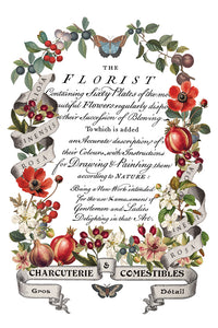 2025 Winter Holiday Collection Iron Orchid Clementine Transfer 8x12- 8 page Pad