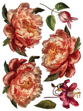 Load image into Gallery viewer, IRON ORCHID COLLAGE DE FLEURS 8- 12&quot;X16&quot; TRANSFER SHEETS *free class included*