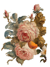 Load image into Gallery viewer, SPRING 2024 IRON ORCHID JOIE DES ROSES  8- 12&quot;X16&quot; TRANSFER SHEETS *free class included*