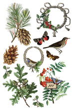 Load image into Gallery viewer, 2025 Winter Holiday Collection Iron Orchid Winter Botanist Transfer 8x12- 8 page Pad