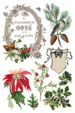 Load image into Gallery viewer, 2025 Winter Holiday Collection Iron Orchid Winter Botanist Transfer 8x12- 8 page Pad