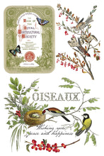 Load image into Gallery viewer, 2025 Winter Holiday Collection Iron Orchid Winter Botanist Transfer 8x12- 8 page Pad