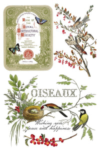 2025 Winter Holiday Collection Iron Orchid Winter Botanist Transfer 8x12- 8 page Pad