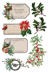 2025 Winter Holiday Collection Iron Orchid Winter Botanist Transfer 8x12- 8 page Pad