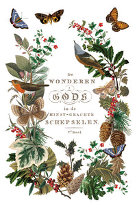 2025 Winter Holiday Collection Iron Orchid Winter Botanist Transfer 8x12- 8 page Pad