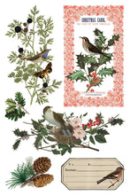 Load image into Gallery viewer, 2025 Winter Holiday Collection Iron Orchid Winter Botanist Transfer 8x12- 8 page Pad