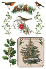 Load image into Gallery viewer, 2025 Winter Holiday Collection Iron Orchid Winter Botanist Transfer 8x12- 8 page Pad