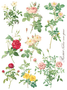 Summer/Fall 2024- ROSE BOTANICAL TRANSFER 8- 12"x16" PAGES *INCLUDES A FREE CLASS*