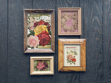 Load image into Gallery viewer, SUMMER COLLECTION-  SEED CATALOG TRANSFER PAD-  EIGHT 8X12 SHEETS