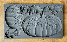 Load image into Gallery viewer, CHRISTMAS 2023 6×10 IRON ORCHID DECOR MOULDS™ ~HELLO PUMPKIN~