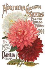 Load image into Gallery viewer, SUMMER COLLECTION-  SEED CATALOG TRANSFER PAD-  EIGHT 8X12 SHEETS