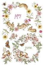 Load image into Gallery viewer, The Bramblewood Diaries IOD Transfer 8x12 Pad