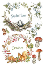 Load image into Gallery viewer, The Bramblewood Diaries IOD Transfer 8x12 Pad