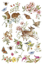 Load image into Gallery viewer, The Bramblewood Diaries IOD Transfer 8x12 Pad