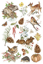 Load image into Gallery viewer, The Bramblewood Diaries IOD Transfer 8x12 Pad