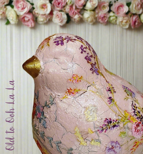 Flora the Pink Bird