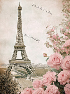 Parisian Roses Vintage Bundle w/Tags- Ooh La La Digital Printables