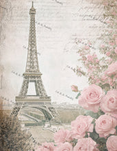 Load image into Gallery viewer, Parisian Roses Vintage Bundle w/Tags- Ooh La La Digital Printables
