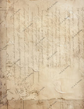 Load image into Gallery viewer, White Roses Folio- Ooh La La Digital Printables