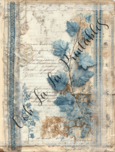 Load image into Gallery viewer, Assorted Bundle #1- Ooh La La Digital Printables