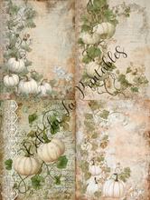 Load image into Gallery viewer, White &amp; Orange Pumpkins Bundle- Ooh La La Digital Printables