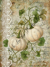 Load image into Gallery viewer, White &amp; Orange Pumpkins Bundle- Ooh La La Digital Printables