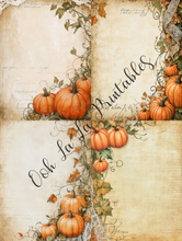 Load image into Gallery viewer, White &amp; Orange Pumpkins Bundle- Ooh La La Digital Printables