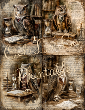 Load image into Gallery viewer, Quiet Wisdom- Ooh La La Printables