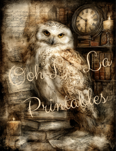 Load image into Gallery viewer, Quiet Wisdom- Ooh La La Printables