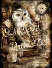 Load image into Gallery viewer, Quiet Wisdom- Ooh La La Printables