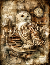 Load image into Gallery viewer, Quiet Wisdom- Ooh La La Printables