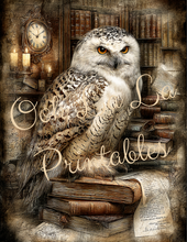 Load image into Gallery viewer, Quiet Wisdom- Ooh La La Printables