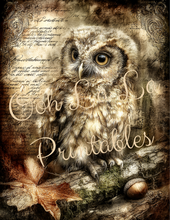 Load image into Gallery viewer, Quiet Wisdom- Ooh La La Printables