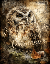 Load image into Gallery viewer, Quiet Wisdom- Ooh La La Printables