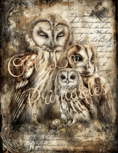 Load image into Gallery viewer, Quiet Wisdom- Ooh La La Printables