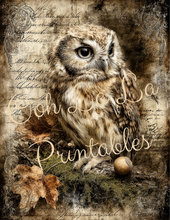 Load image into Gallery viewer, Quiet Wisdom- Ooh La La Printables