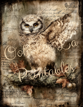 Load image into Gallery viewer, Quiet Wisdom- Ooh La La Printables