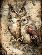 Load image into Gallery viewer, Quiet Wisdom- Ooh La La Printables