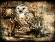 Load image into Gallery viewer, Quiet Wisdom- Ooh La La Printables