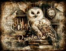 Load image into Gallery viewer, Quiet Wisdom- Ooh La La Printables