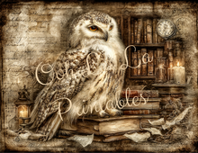 Load image into Gallery viewer, Quiet Wisdom- Ooh La La Printables
