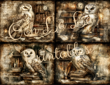 Load image into Gallery viewer, Quiet Wisdom- Ooh La La Printables
