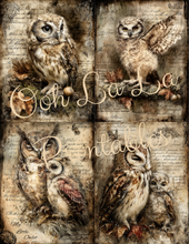 Load image into Gallery viewer, Quiet Wisdom- Ooh La La Printables