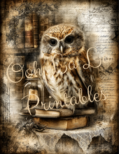 Load image into Gallery viewer, Quiet Wisdom- Ooh La La Printables