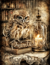 Load image into Gallery viewer, Quiet Wisdom- Ooh La La Printables